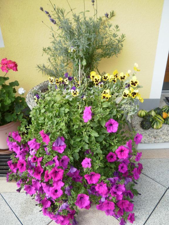 Hotel Haus Vordertiefenbach Wagrain Zewnętrze zdjęcie